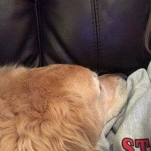 Meet your Posher, Jill